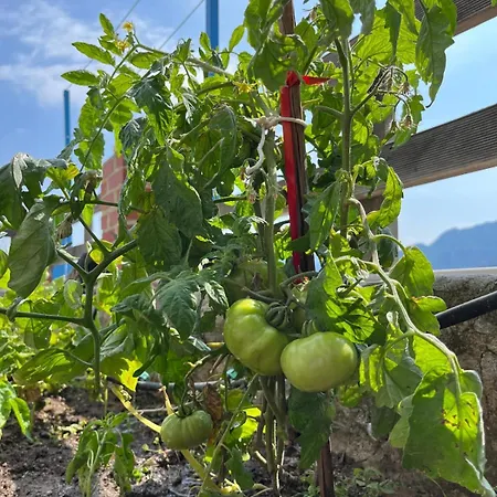 Villa Light House Kule , Değirmen Deniz Manzaralı Taş