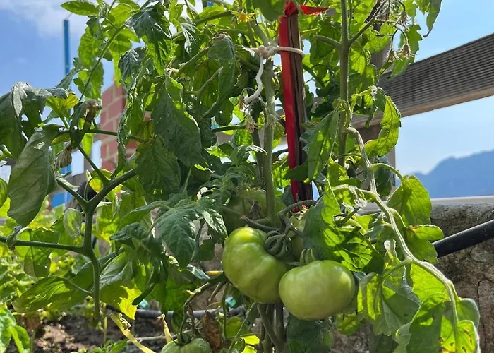 别墅 Light House Kule , Degirmen Deniz Manzarali Tas